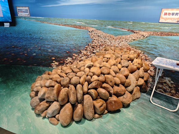 [霄裡好風光，運動樂悠遊！-2/10] 2025_0608 永安海螺文化館2808087