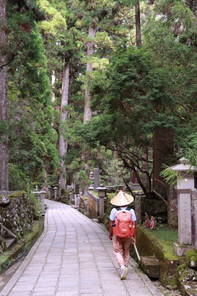 高野参詣道：不動坂に始まり祈りは奥の院へ2923238