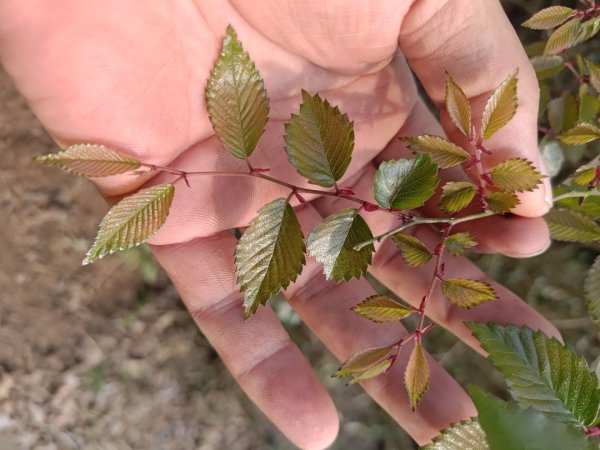 塘湖古道塘湖山甕缸潭2454304