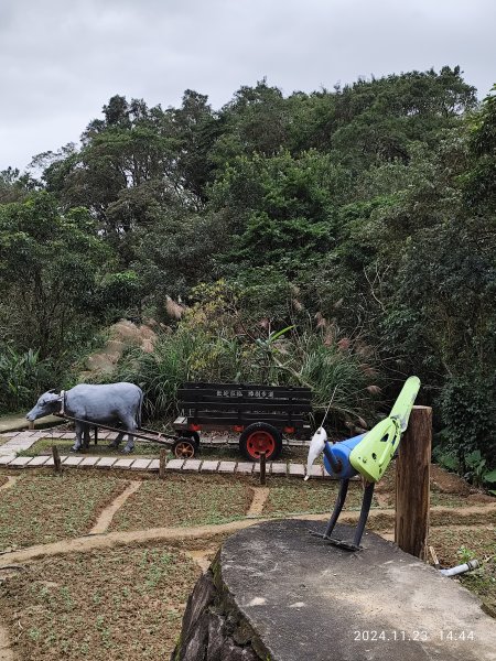 【臺北大縱走 7】3-3 相思炭窯→樟樹步道→彩雲亭→樟山寺→飛龍步道→政大校園→市府轉運站2654584