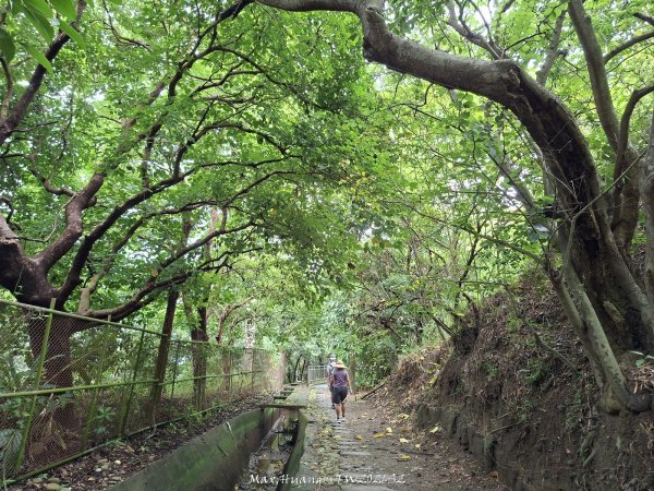 《台中》水圳視野｜烏日知高圳及雪蓮登山步道上學田山202606133074174