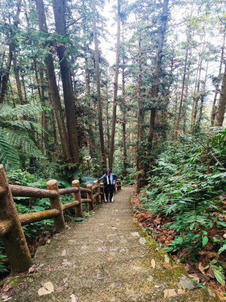 鳴鳳山古道2983686