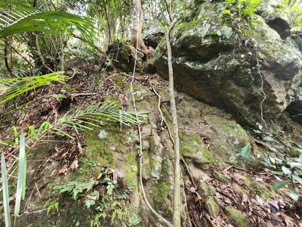 20251214石牛山柑坪山新柑坪山牛背岩2972749