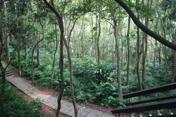 小百岳NO.13南港山，南港山北峰，九五峯2285591