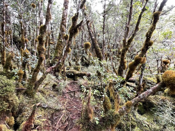 魔幻森林三星山與三星池1658317