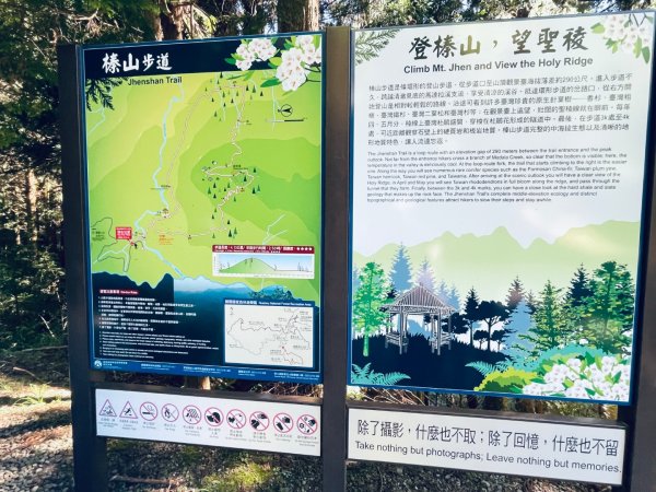 20260531觀霧榛山登山步道（榛山北峰+主峰+環形步道）3071468