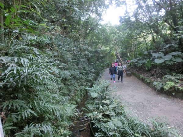 富陽生態公園．福州山106630