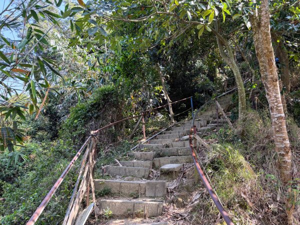 南觀音山步道2731297