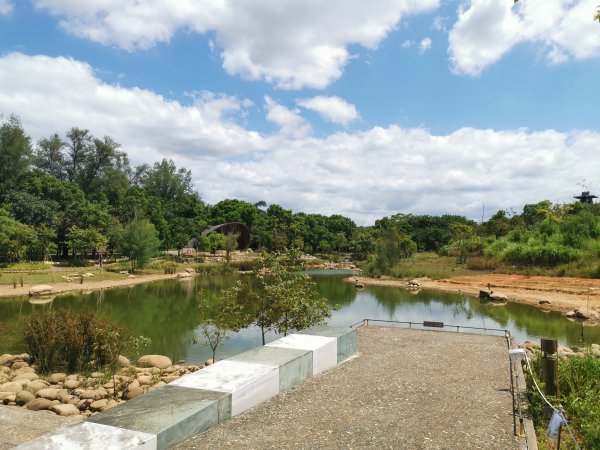 暑之大湳森林公園2859584