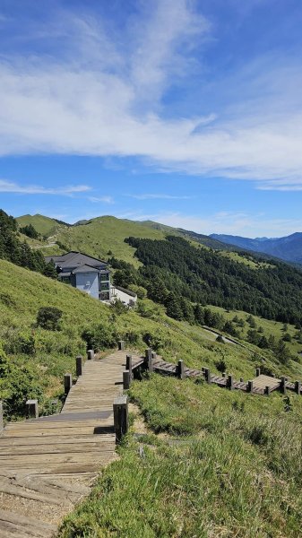 240714-石門山+合歡尖山+合歡東峰。美美兔凌晨3點出門來個合歡群峰半日遊。2567164