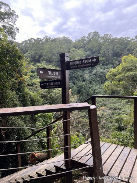 【新竹＋苗栗】猿獅縱走2989061