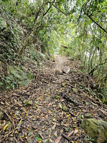 西阿里關山-小百岳#66-高雄市甲仙區2749998