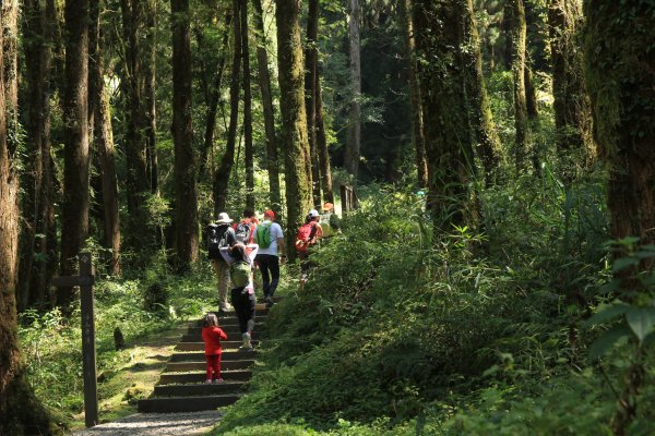 阿里山的櫻花前戲1635061