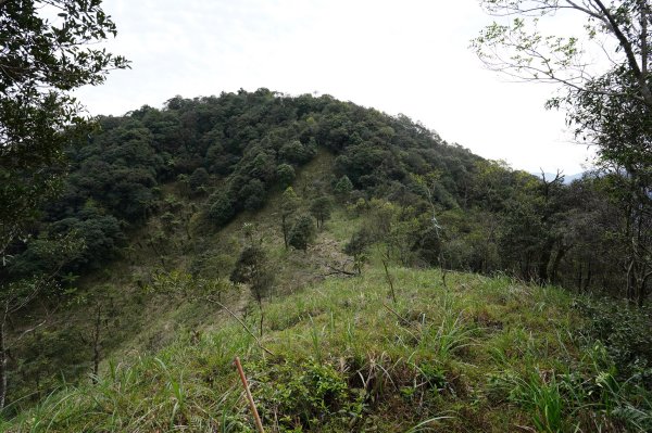 新北 烏來 大桶山、火燒樟山2728792