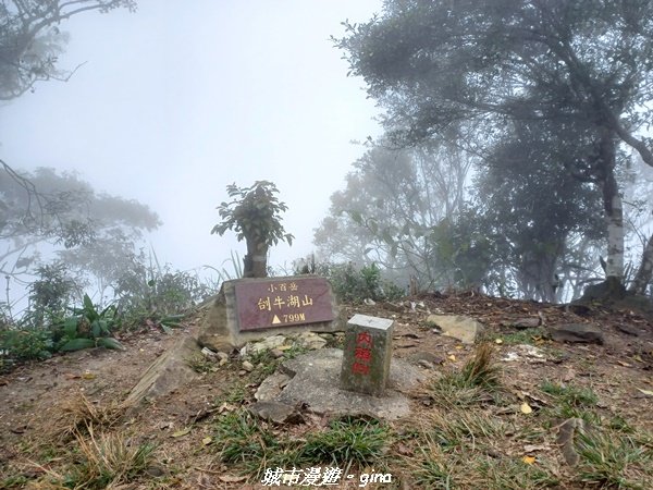 【台南。 南化】迷霧山徑。 小百岳集起來。 編號70小百岳~刣牛湖山登山步道1610465