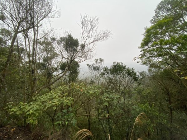 苗栗三義-三員縱走2616449