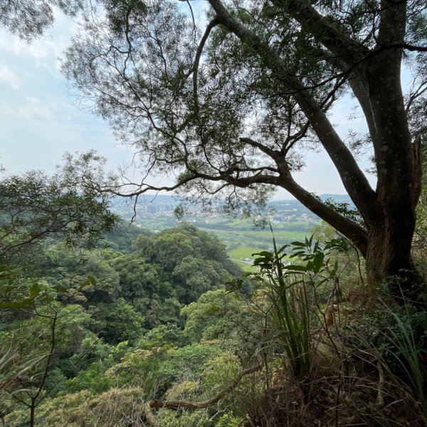 20231024_新竹飛龍健行步道（森遊竹縣）2762917