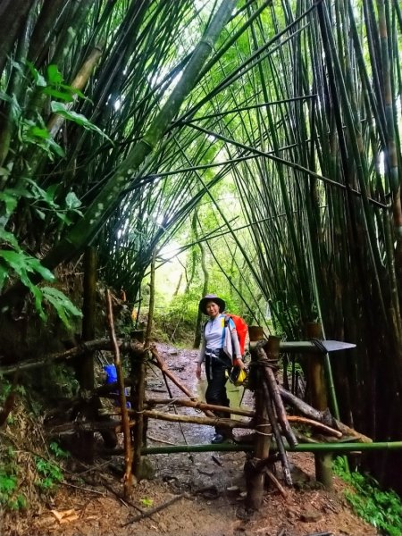 璀璨百年淡蘭古道～中坑古道、崩山坑古道、柑腳山O走1113370