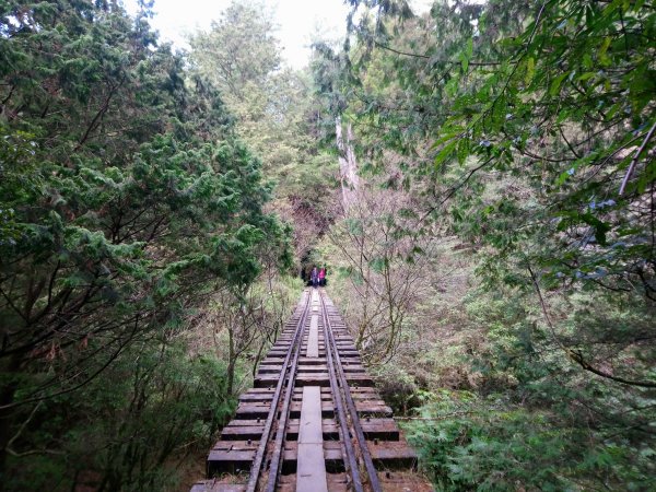 森林鐵道543404