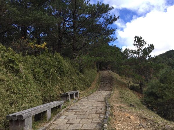 鹿林山步道健行224626