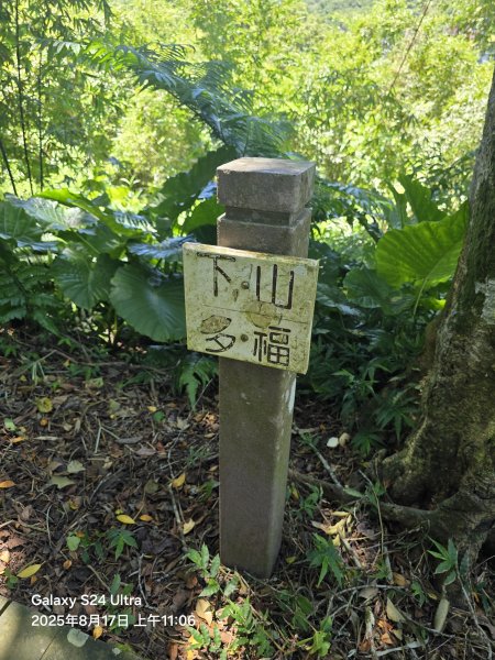 2025-08-17臺北大縱走第七段：世界山莊至飛龍步道政大後山2862368