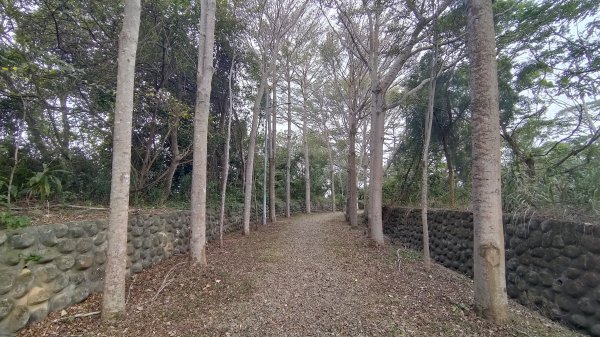 新竹車站巡禮~崎頂到香山2986452