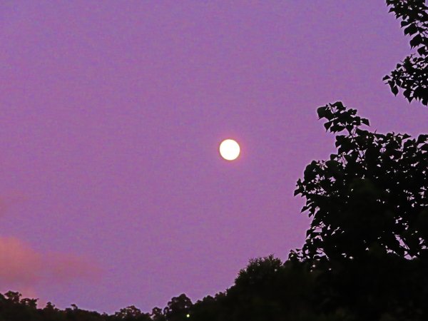 輕鬆的賞月步道:登虎山賞夕陽霞光及明月677542