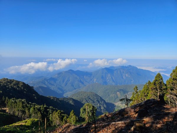 20250112八眉阿2688340