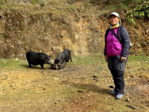 北越自由行2--攀登越南最高峰番西邦峰770253