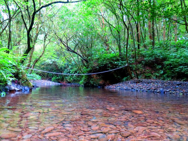 淡蘭古道輕旅行:坪溪古道出外澳546103