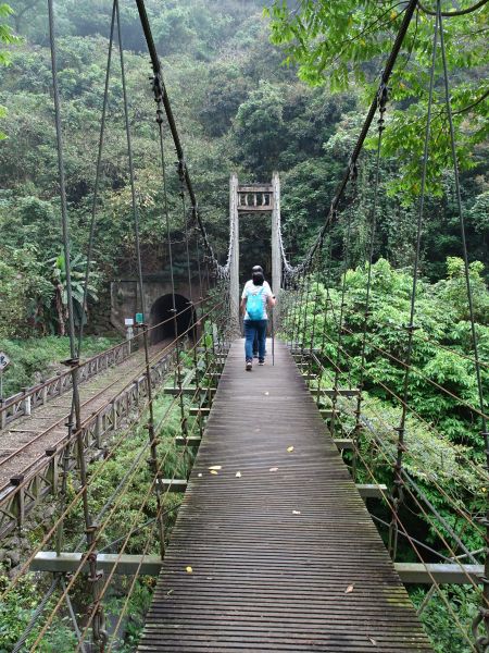 台灣小百岳-嘉義竹崎-獨立山之三角點320503