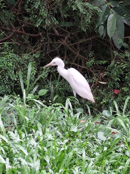 大安森林公園【走路趣尋寶】【臺北健走趣】2541546