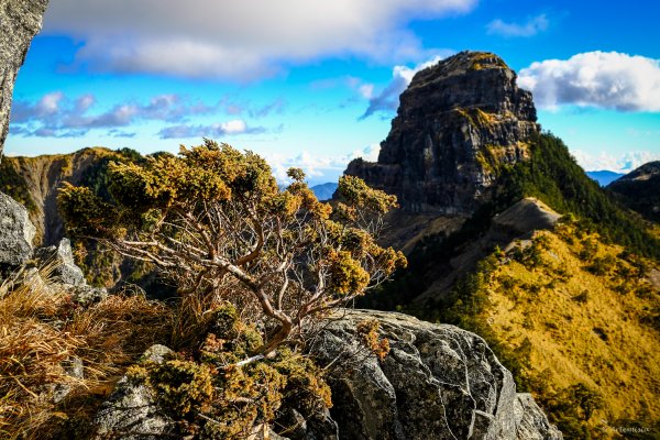 [冬訪大霸聖山岳參行]-榮耀桂冠B'bu' Papak聖稜精選輯2974811