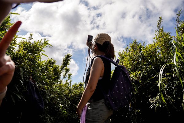 五分山｜小百岳2915459