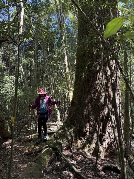 屋東縱走 202503012728991