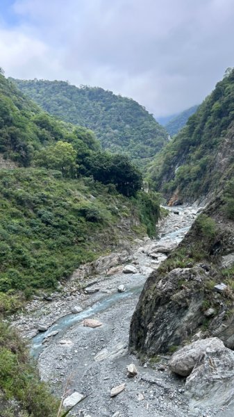 秀林天祥合流綠水文山步道2140197