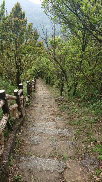 1070401二格山303018