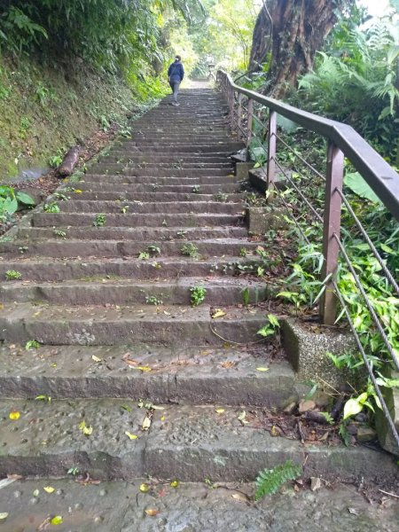 獅山古道一雨中同行1597608