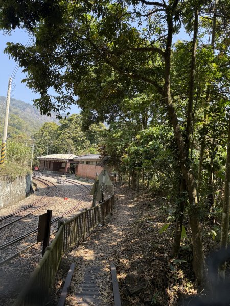 1150322雲嘉8連峰3023019