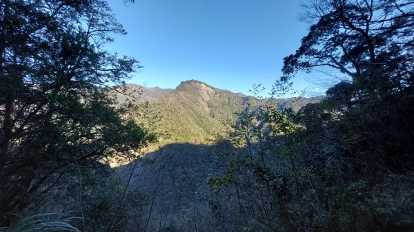 熱血一日霞喀羅賞楓之旅2784992