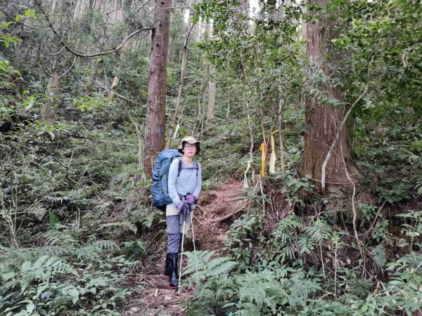 干卓萬群峰五天1141001~052906178