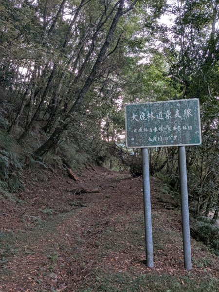 結界縱走三日(結城山、境界山、檜山)2920920