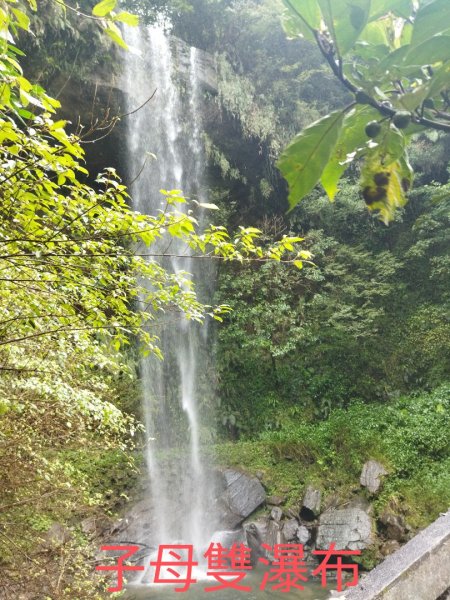 野人谷賞六野瀑、九龍拱橋、茵夢湖1913130