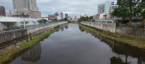 桃園老街溪2928631
