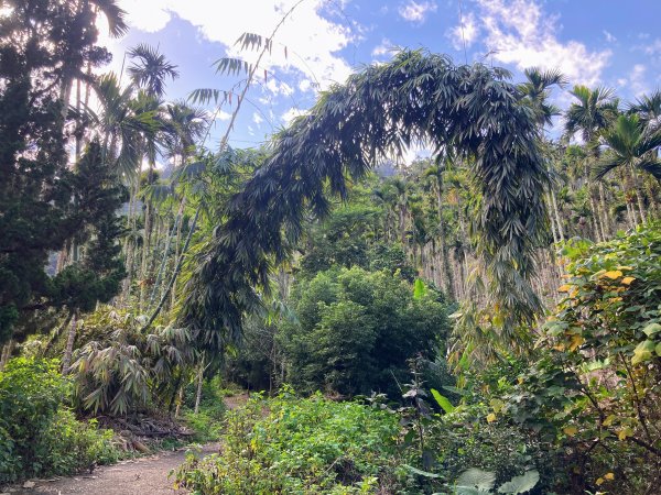 後尖山步道2683551