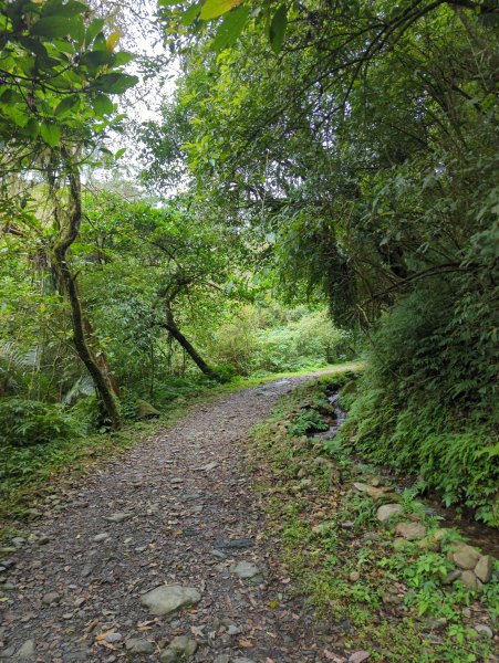 2025.01.10－松羅國家步道2981167