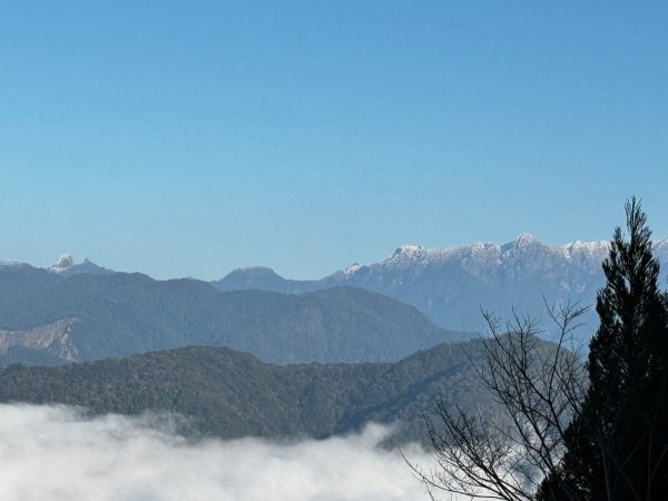 1140209雪見北坑山大板根2709945