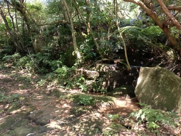 內湖區大丘田保甲路+開眼山+白石湖山+白石湖山東峰+大邱田山+消防山O型2858889