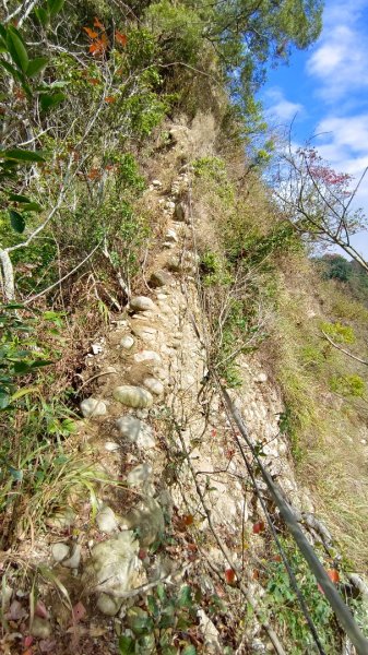 石苓湖山（頭嵙南峰）/黑山/黑山北峰/頭嵙山1585845