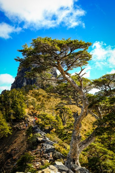 [冬訪大霸聖山岳參行]-榮耀桂冠B'bu' Papak聖稜精選輯2974815